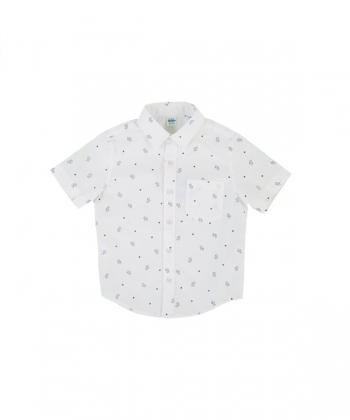 product-color