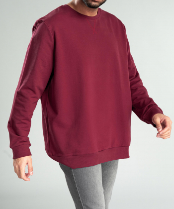 سویشرت مردانه ال سی وایکیکی LC Waikiki کد 0W47099