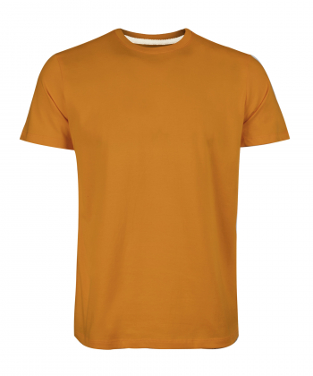 تیشرت آستین کوتاه مردانه آروما مدل 10101003