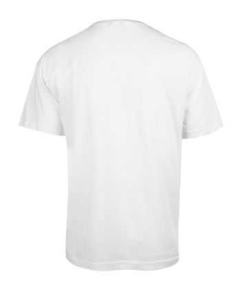 تیشرت مردانه بادی اسپینر Body Spinner کد 5429