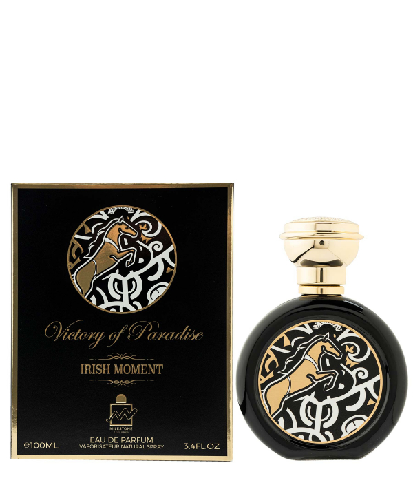 عطر مردانه برند پی لس Brand Payless مدل Irish Moment