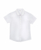سفید