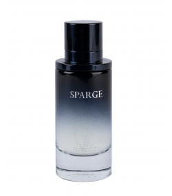 ادوپرفیوم مردانه جی بی لاوز JB Loves مدل Sparge حجم 100 میلی لیتر