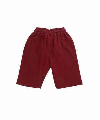شلوارک پسرانه یو اس پولو کیدز US Polo Kids کد 1042A1