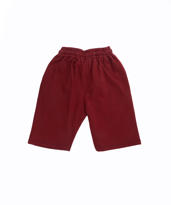 شلوارک پسرانه یو اس پولو کیدز US Polo Kids کد 1042A1