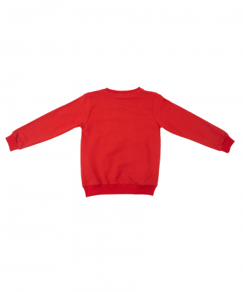 سویشرت نازک پسرانه یو اس پولو کیدز US Polo Kids کد 4012A3