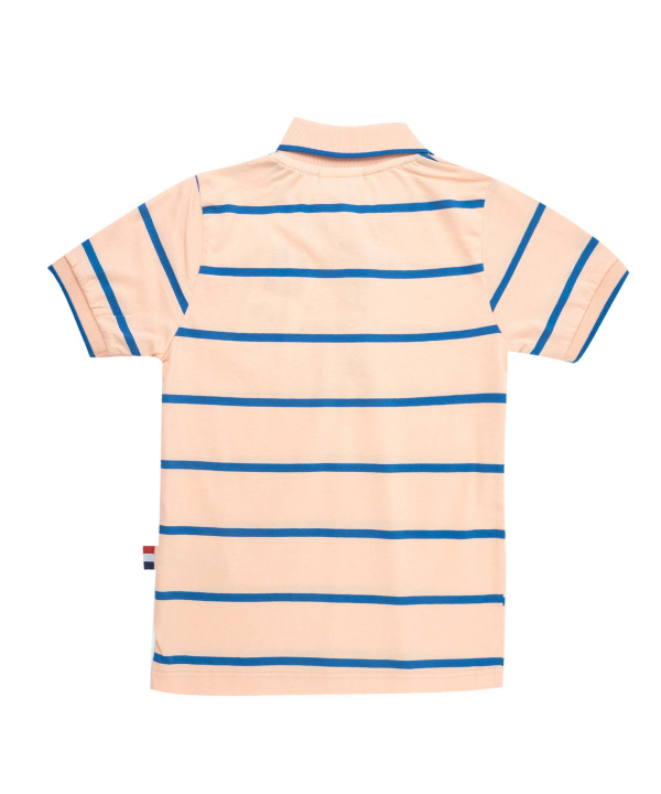 پولوشرت پسرانه یو اس پولو کیدز US Polo Kids کد t17403