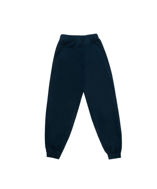 ست تیشرت شلوار پسرانه یو اس پولو کیدز US Polo Kids کد t10405