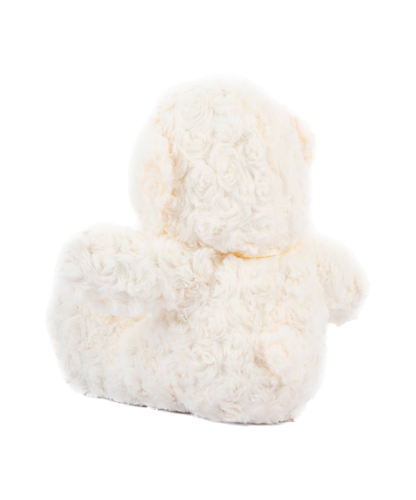 عروسک پولیشی خرس کی تویز Kitoys کد RASSBEAR2
