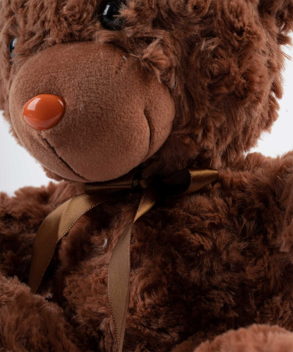 عروسک پولیشی خرس کی تویز Kitoys کد RASSBEAR2