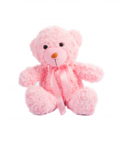 عروسک پولیشی خرس کی تویز Kitoys کد RASSBEAR2