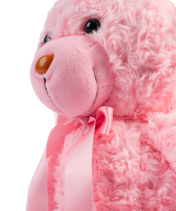 عروسک پولیشی خرس کی تویز Kitoys کد RASSBEAR2
