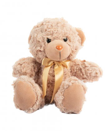 عروسک پولیشی کی تویز Kitoys کد RASSBEAR1