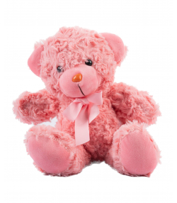 عروسک پولیشی کی تویز Kitoys کد RASSBEAR1