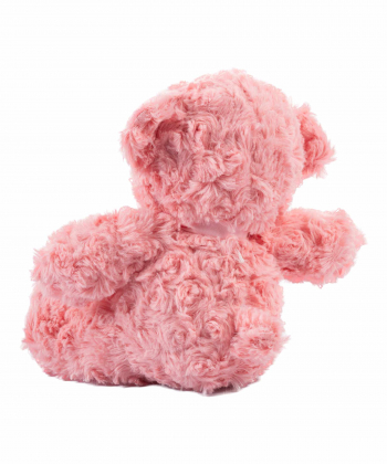 عروسک پولیشی کی تویز Kitoys کد RASSBEAR1