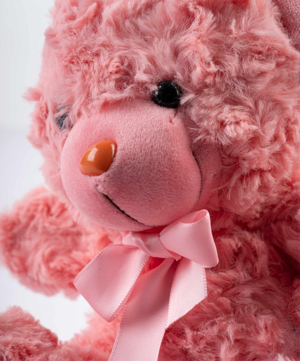 عروسک پولیشی کی تویز Kitoys کد RASSBEAR1