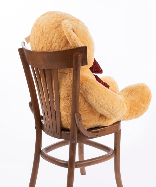 عروسک پولیشی کی تویز Kitoys کد KMBEAR1CM