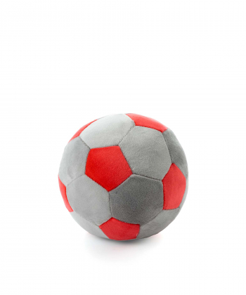 توپ پولیشی کی تویز Kitoys کدNANOBALLR