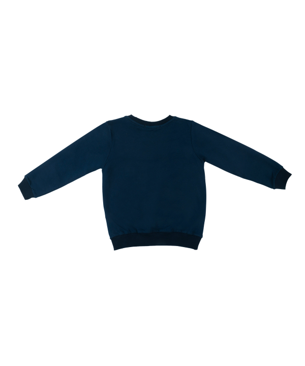 ست سویشرت و شلوار پسرانه یو اس پولو کیدز US Polo Kids کد 4032A3