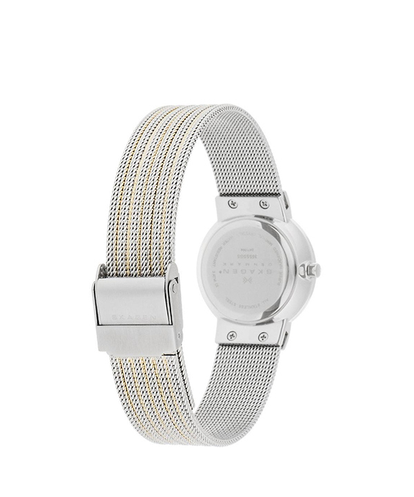 ساعت مچی عقربه ای زنانه اسکاگن Skagen مدل 355SSGS