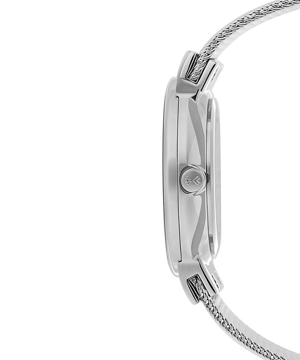 ساعت مچی عقربه ای زنانه اسکاگن Skagen مدل 355SSRS