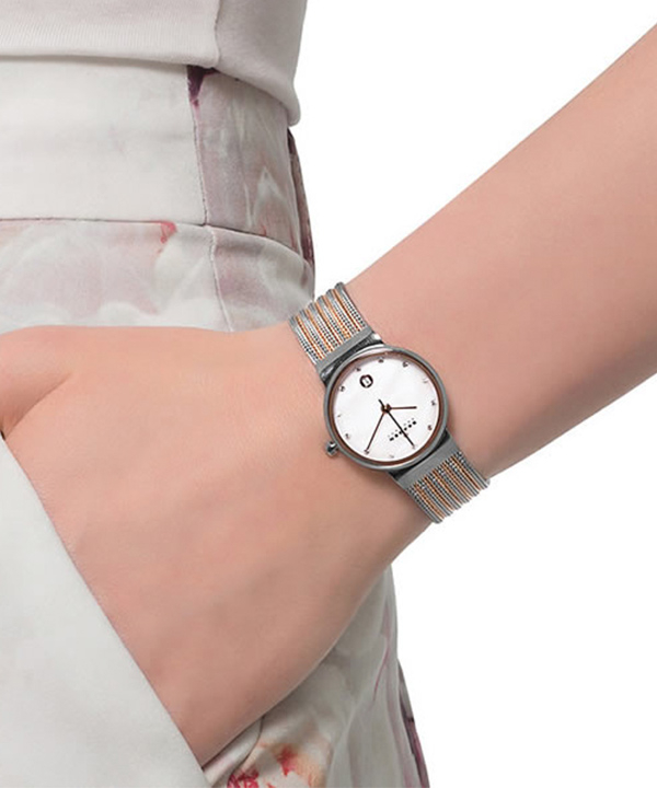 ساعت مچی عقربه ای زنانه اسکاگن Skagen مدل 355SSRS