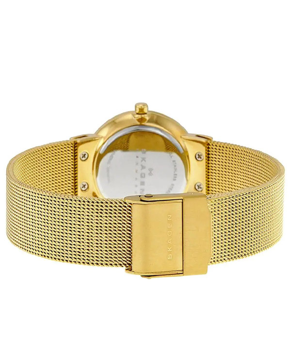 ساعت مچی عقربه ای زنانه اسکاگن Skagen مدل 358SGGD