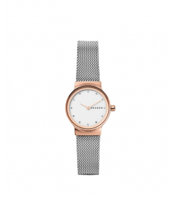 ساعت مچی عقربه ای زنانه اسکاگن Skagen مدل SKW1101