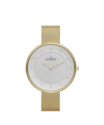 ساعت مچی عقربه ای زنانه اسکاگن Skagen مدل SKW2141