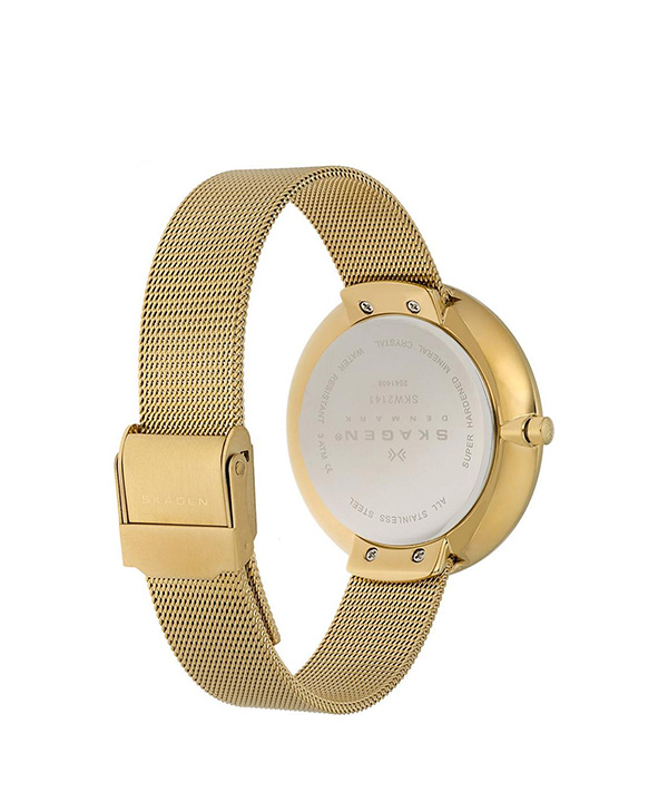 ساعت مچی عقربه ای زنانه اسکاگن Skagen مدل SKW2141