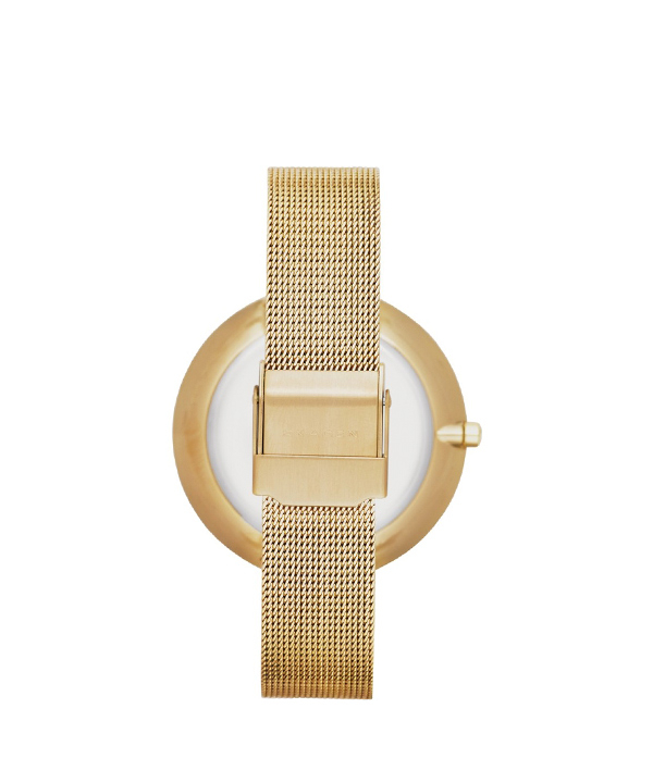 ساعت مچی عقربه ای زنانه اسکاگن Skagen مدل SKW2141