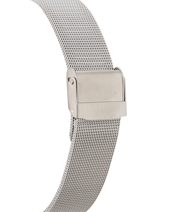 ساعت مچی عقربه ای مردانه اسکاگن Skagen مدل 355LGSC