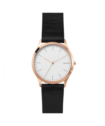 ساعت مچی عقربه ای مردانه اسکاگن Skagen مدل SKW1102