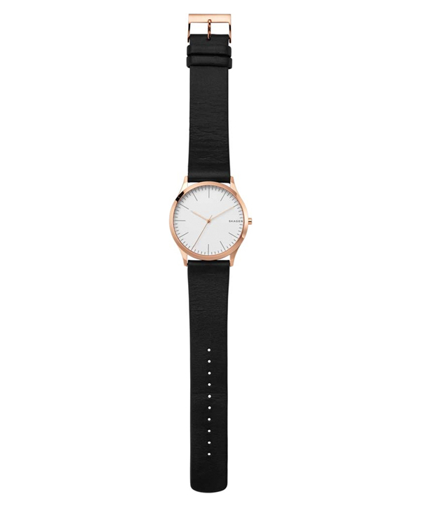 ساعت مچی عقربه ای مردانه اسکاگن Skagen مدل SKW1102