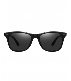 عینک آفتابی دیدبان Did Ban مدل WAYFARER POLARIZED
