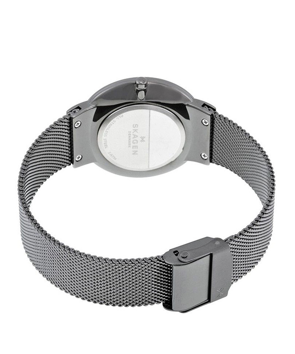 ساعت مچی عقربه ای زنانه اسکاگن Skagen مدل SKW2382