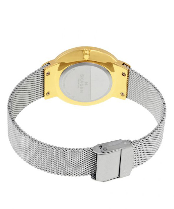 ساعت مچی عقربه ای زنانه اسکاگن Skagen مدل SKW2381