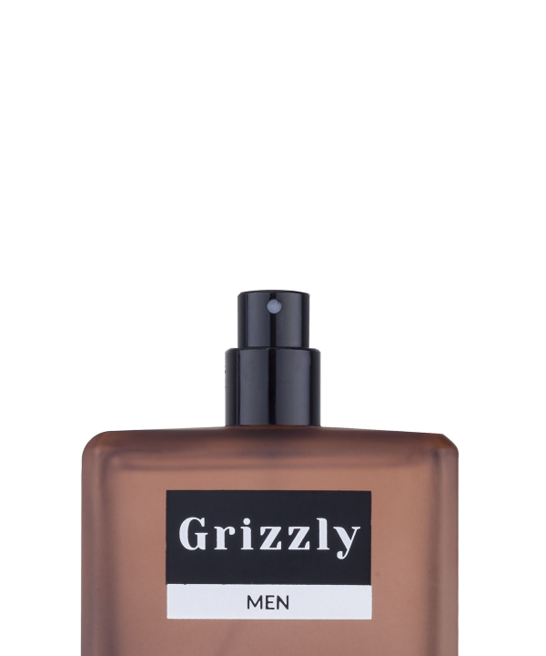 ادوتویلت مردانه النترا Elentra مدل Grizzly حجم 100 میلی لیتر