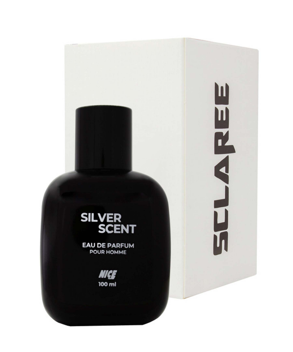 ادوپرفیوم مردانه نایس پاپت Nice Puppet مدل Silver Scent حجم 100 میلی‌لیتر