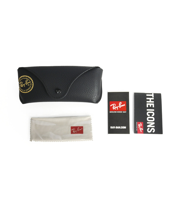 عینک آفتابی ری بن Ray Ban مدل Frank