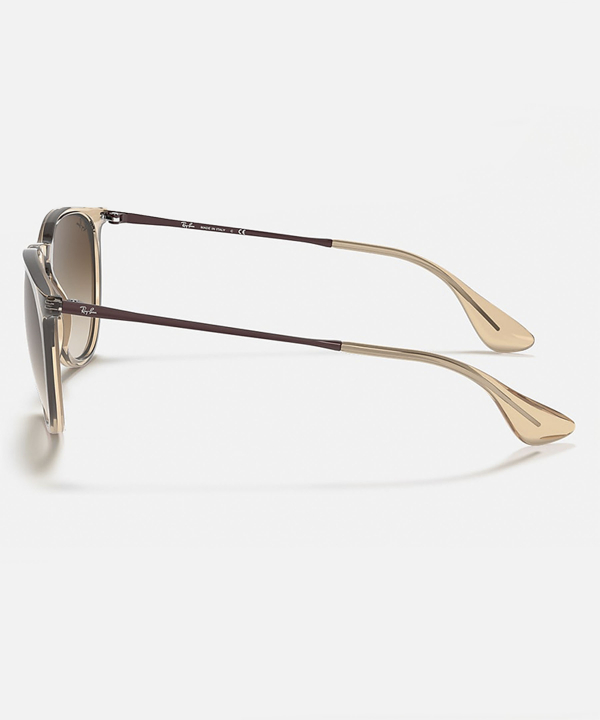 عینک آفتابی ری بن Ray Ban مدل Erika
