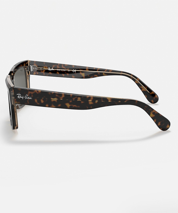 عینک آفتابی ری بن Ray Ban مدل Inverseness