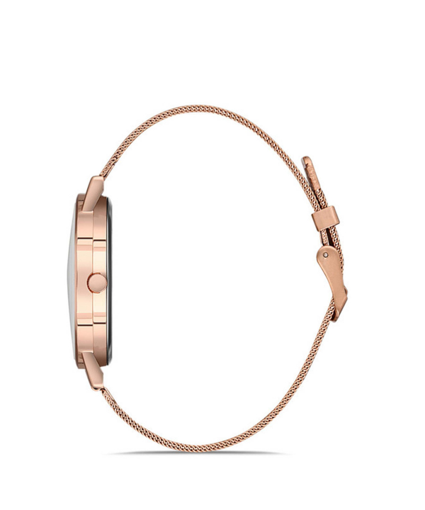 ساعت مچی زنانه آکوا دی پولو Aqua Di Polo مدل APL12C670H08