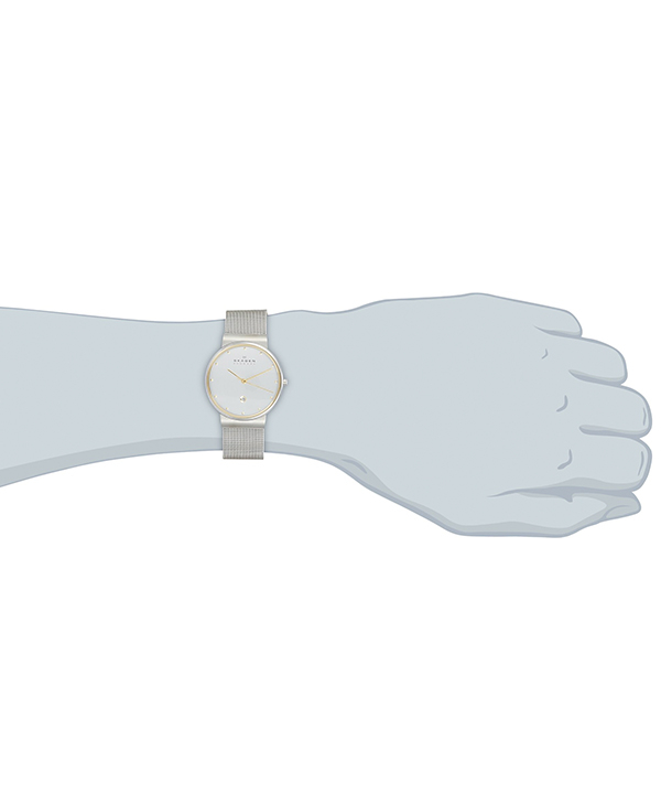 ساعت مچی عقربه ای مردانه اسکاگن Skagen مدل 355LGSC