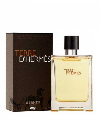 ادوپرفیوم مردانه نایس پاپت مدل Terre De Hermes حجم 100 میلی لیتر