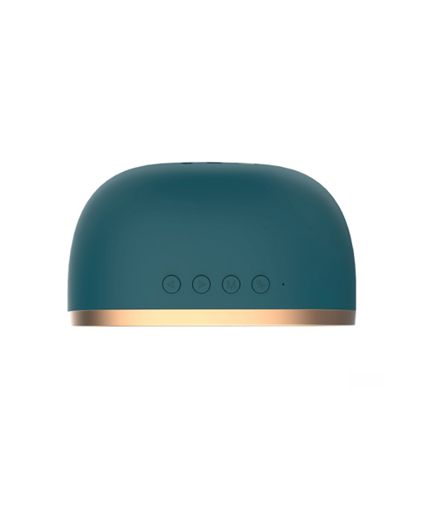 اسپیکر رسی Recci مدل RSK-W10