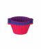 رنگی