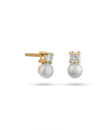 گوشواره بنیتا رزین کیا گالری Kia Gallery کد EM365