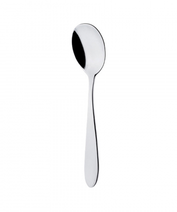 قاشق سرو سالاد ورونا براق 1 عدد ناب استیل Nabsteel کد 2412