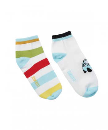 product-color